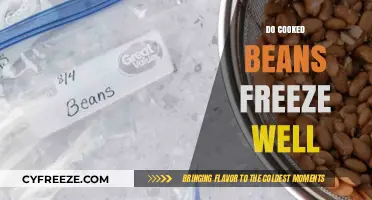 The Ultimate Guide to Freezing Cooked Beans: Tips and Tricks