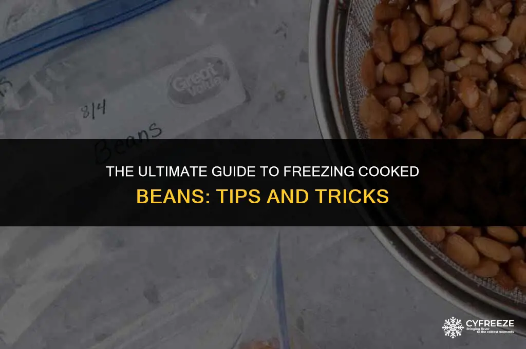 do cooked beans freeze well