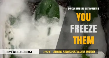 Freezing Cucumbers: Avoiding Mushiness and Preserving Freshness