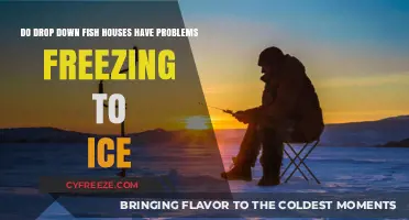 Ice Fishing Dilemmas: Do Drop-Down Fish Houses Freeze Solid?
