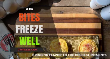 Can You Freeze Egg Bites? Tips for Perfect Storage and Reheating