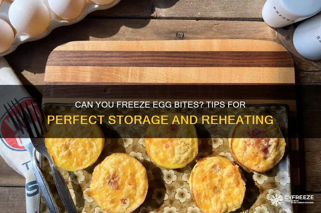 do egg bites freeze well