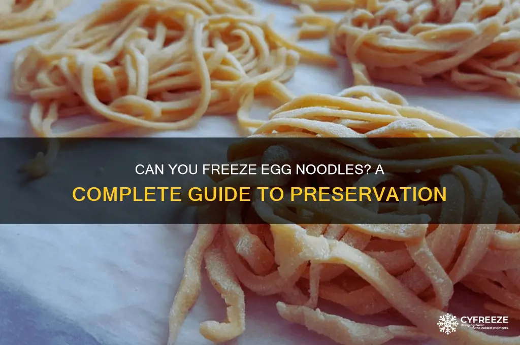 do egg noodles freeze well
