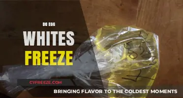 Can You Freeze Egg Whites? A Complete Guide to Storage
