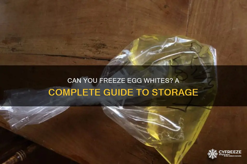 do egg whites freeze