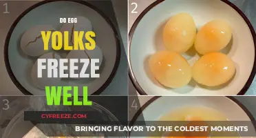Can You Freeze Egg Yolks? A Guide to Preserving Egg Yolks