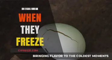 Do Eggs Break When Frozen? Exploring the Science Behind Freezing Eggs