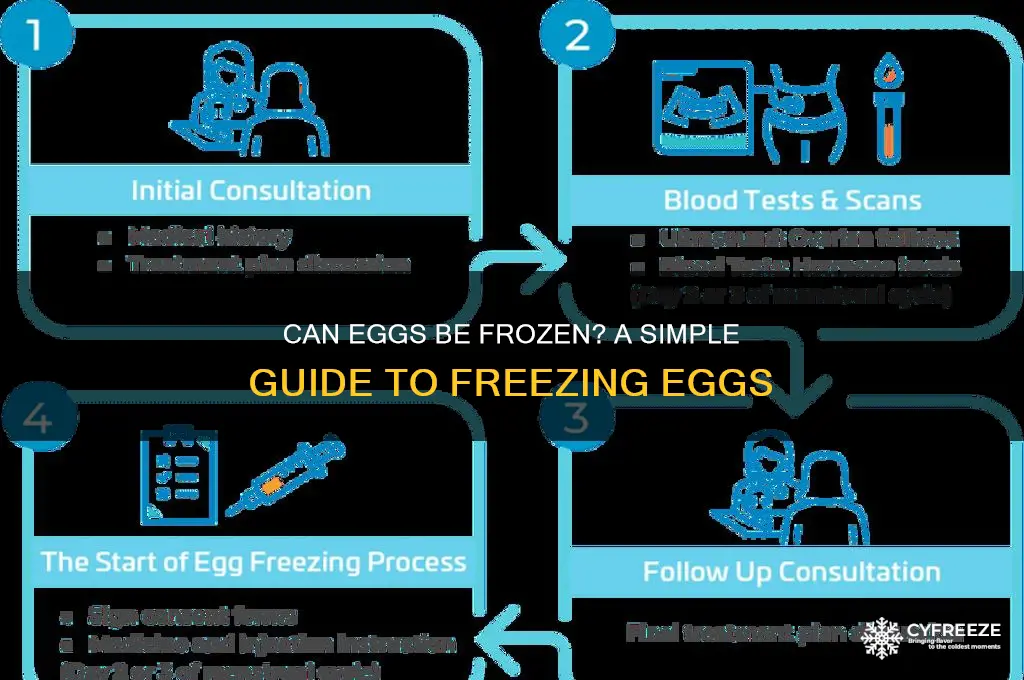 do eggs freeze easily