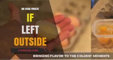Will Eggs Freeze if Left Outside? Exploring Temperature Effects