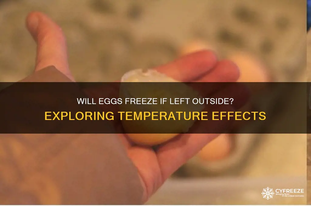do eggs freeze if left outside