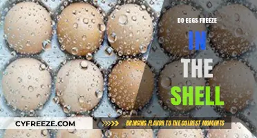 Can You Freeze Eggs in Their Shells? A Complete Guide
