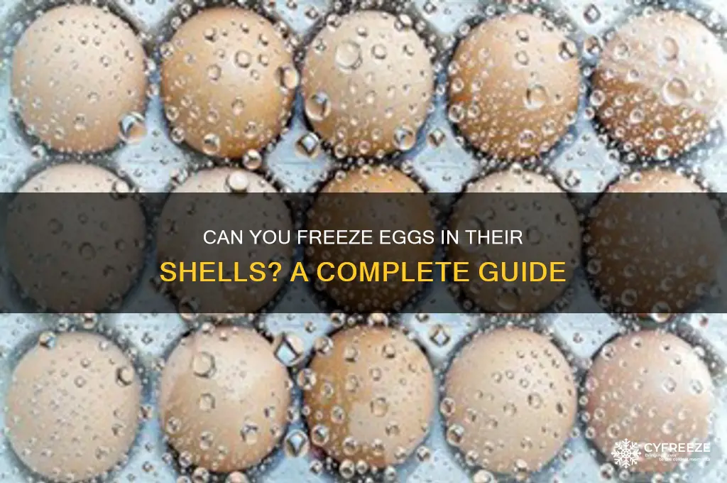do eggs freeze in the shell