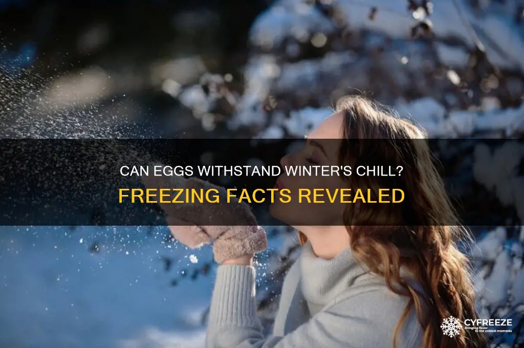 do eggs freeze in the winter