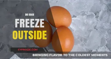 Can Eggs Freeze Outside? Exploring Cold Weather Egg Storage Tips