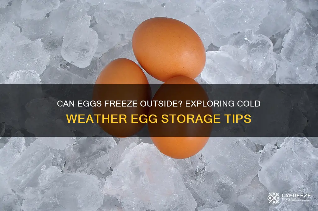 do eggs freeze outside