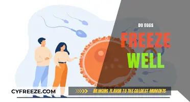 Can Eggs Be Frozen? A Guide to Freezing Eggs Successfully