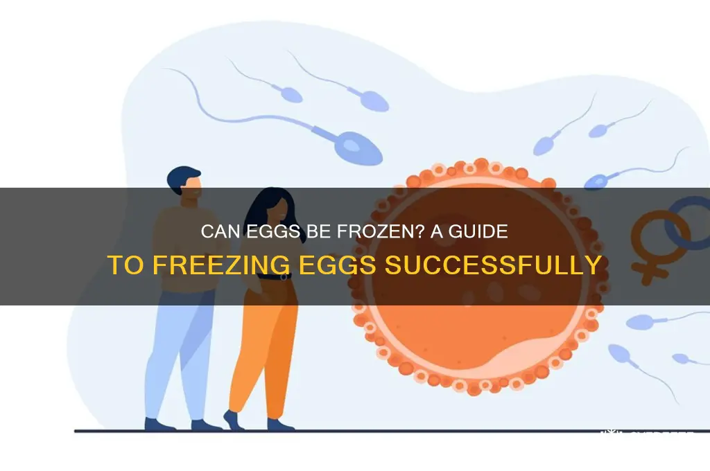 do eggs freeze well