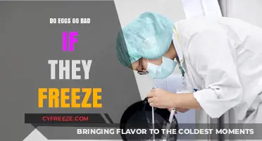Can Eggs Survive the Freezer? Debunking Myths About Frozen Eggs