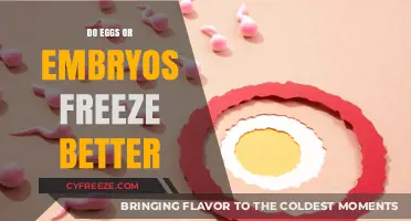 Eggs vs. Embryos: Which Freezes Better for Fertility Preservation?