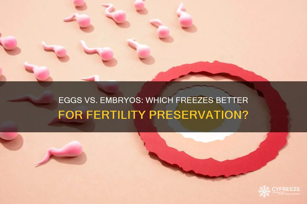 do eggs or embryos freeze better