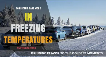Electric Cars in Winter: Performance and Challenges in Freezing Temperatures