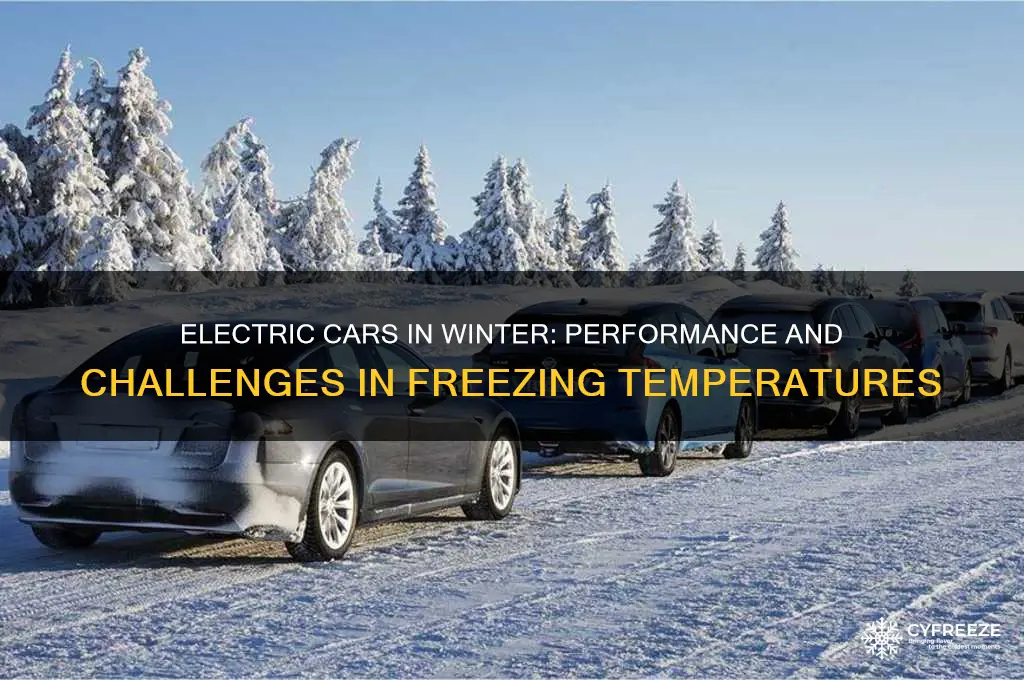 do electric cars work in freezing temperatures