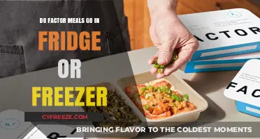 Chill or Freeze: The Ultimate Guide to Storing Factor Meals