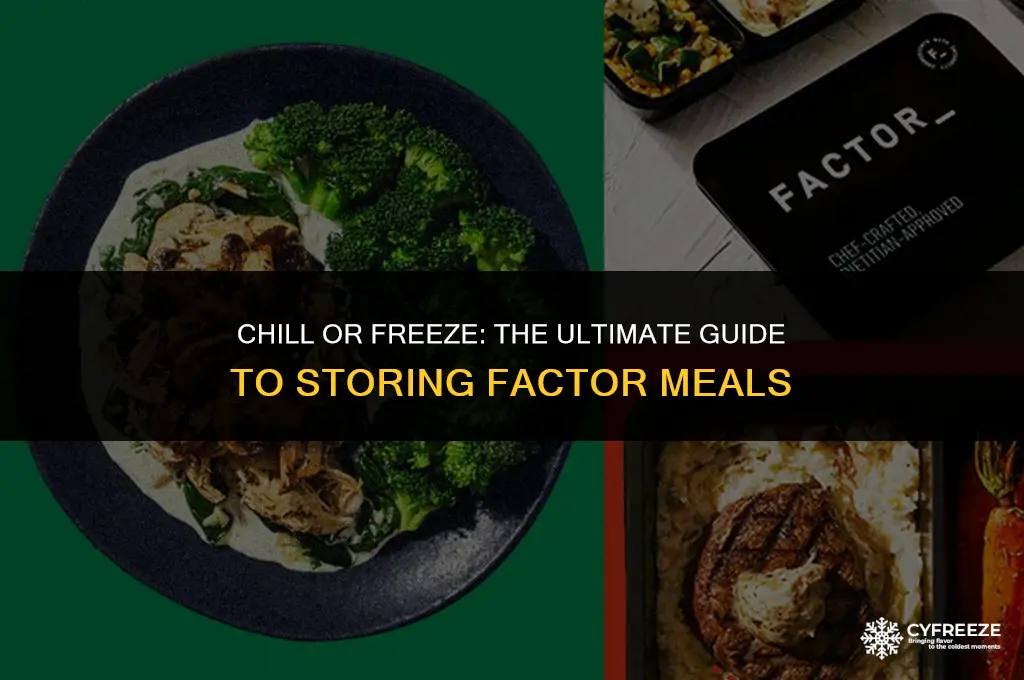do factor meals go in fridge or freezer