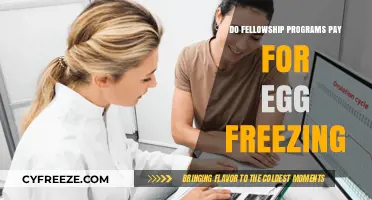 Egg Freezing Costs: Do Fellowship Programs Cover the Expense?