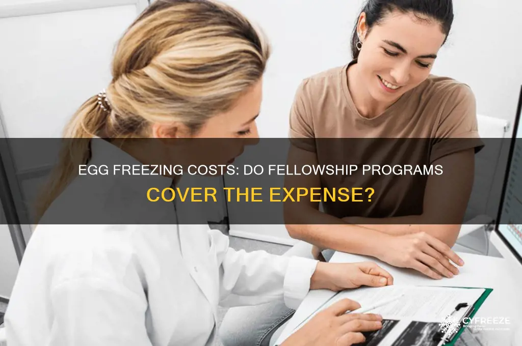 do fellowship programs pay for egg freezing