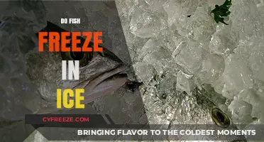 Do Fish Freeze in Ice? Exploring Winter's Impact on Aquatic Life
