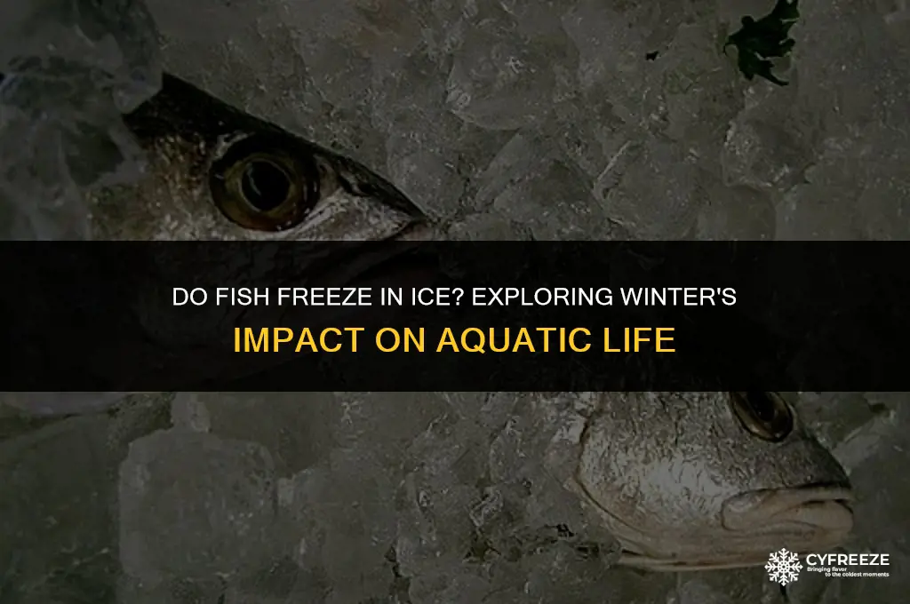do fish freeze in ice
