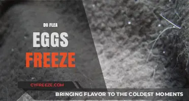 Can Flea Eggs Survive Freezing Temperatures? The Surprising Truth Revealed