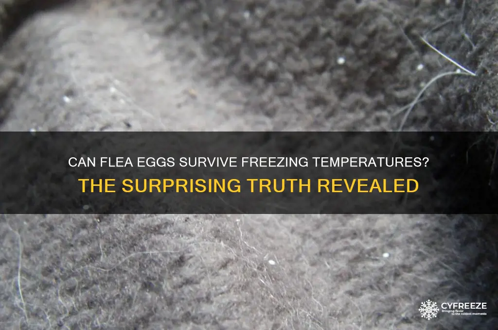do flea eggs freeze