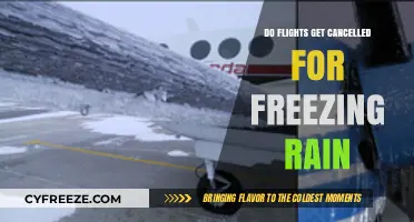 Freezing Rain and Flights: Understanding Winter Weather Cancellations