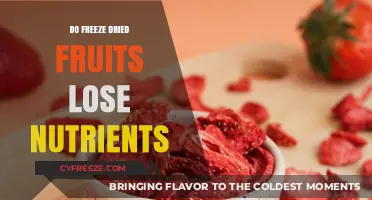 Do Freeze-Dried Fruits Lose Nutrients? A Comprehensive Guide