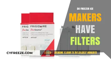 Do Freezer Ice Makers Have Filters? A Comprehensive Guide