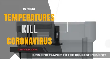 Can Freezer Temperatures Eliminate Coronavirus? Exploring the Science Behind It