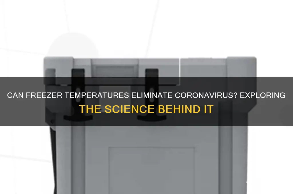do freezer temperatures kill coronavirus