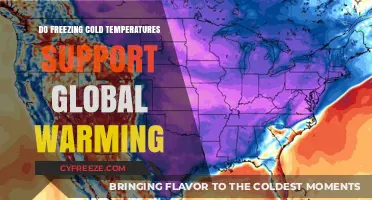 Freezing Cold Temperatures: Evidence of Global Warming's Complex Impact?