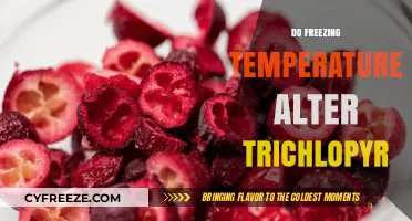Freezing Temperatures and Trichlopyr: Effects on Herbicide Efficacy Explored
