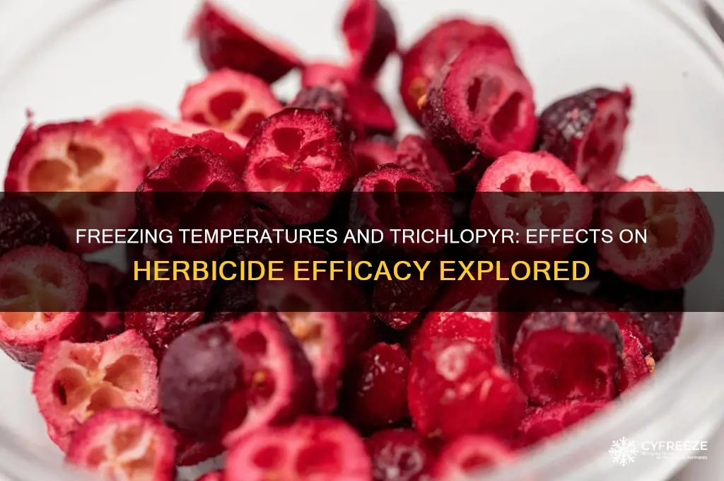 do freezing temperatures alter trichlopyr