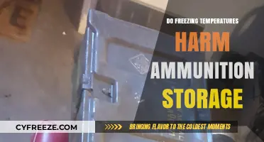 Freezing Temps and Ammo Storage: Potential Risks and Safety Tips