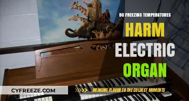 Can Extreme Cold Damage Your Electric Organ? Facts and Tips