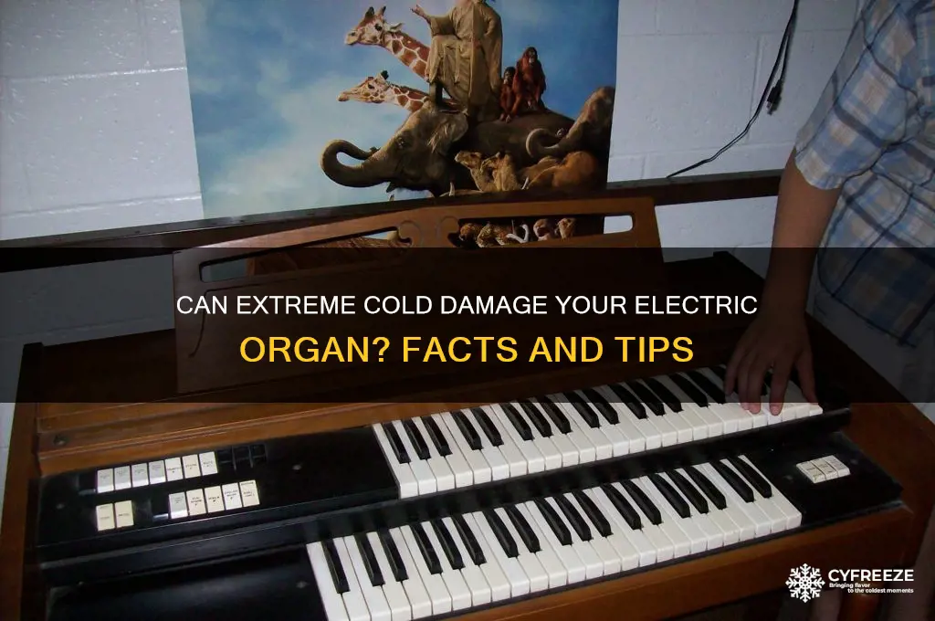 do freezing temperatures harm electric organ