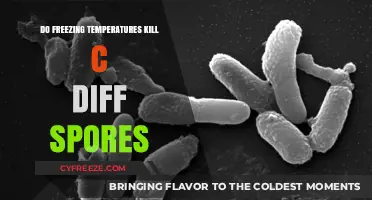 Can Freezing Temperatures Eliminate C. Diff Spores? The Science Explained