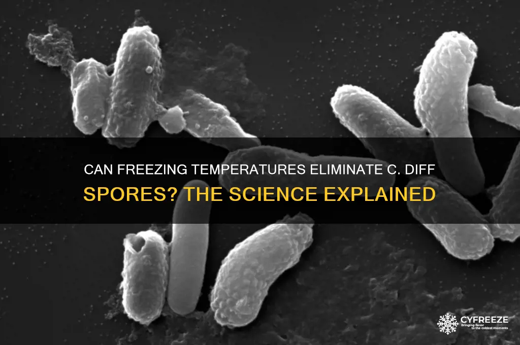 do freezing temperatures kill c diff spores