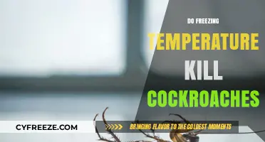 Can Freezing Temperatures Effectively Eliminate Cockroaches? The Chilling Truth