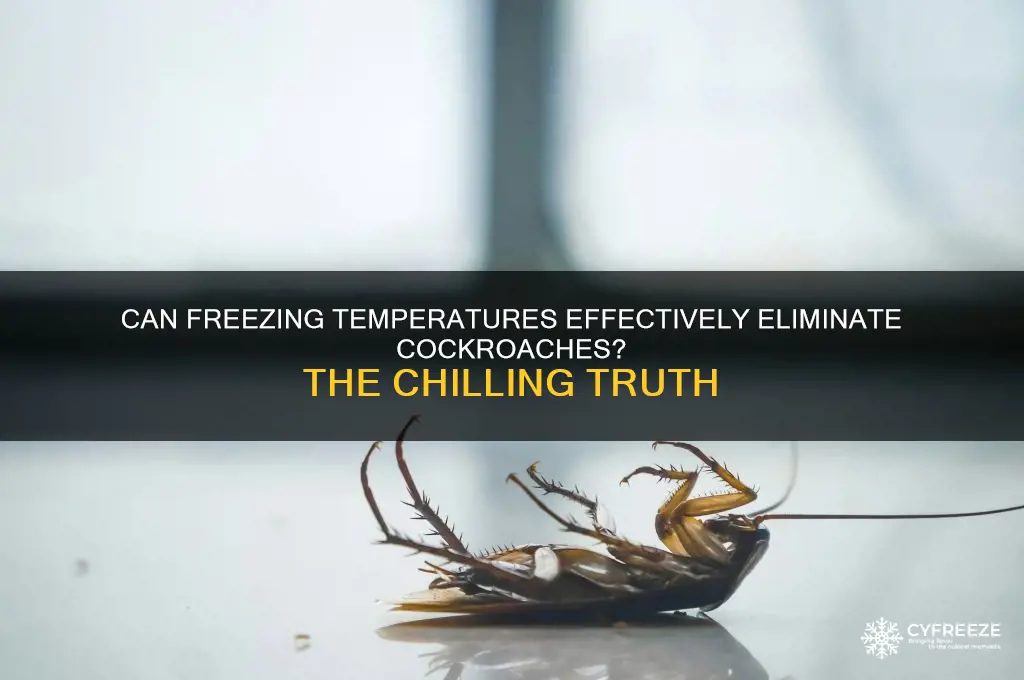 do freezing temperatures kill cockroaches