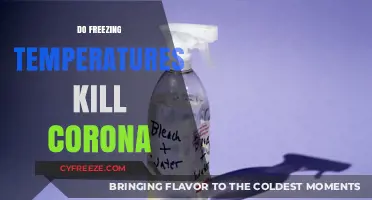 Can Freezing Temperatures Kill the Coronavirus? What Science Says